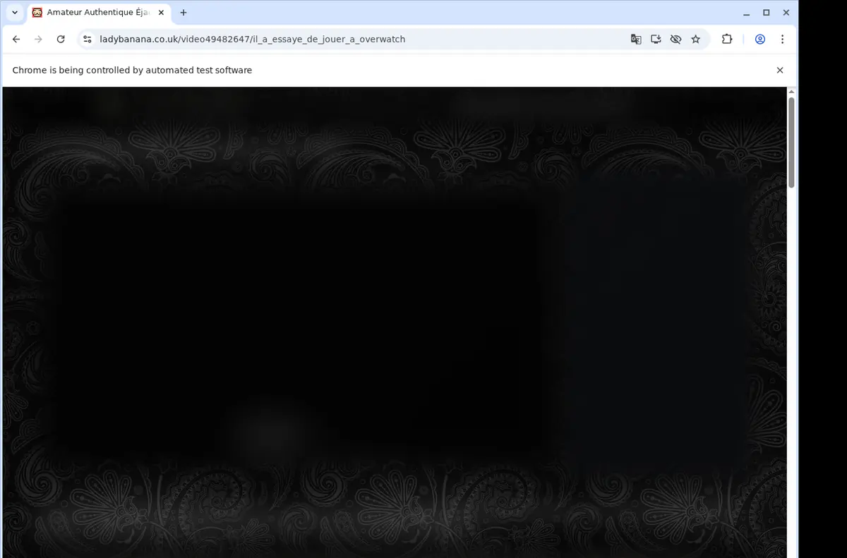 Ladybanana Video Downloader browser extension screenshot 2