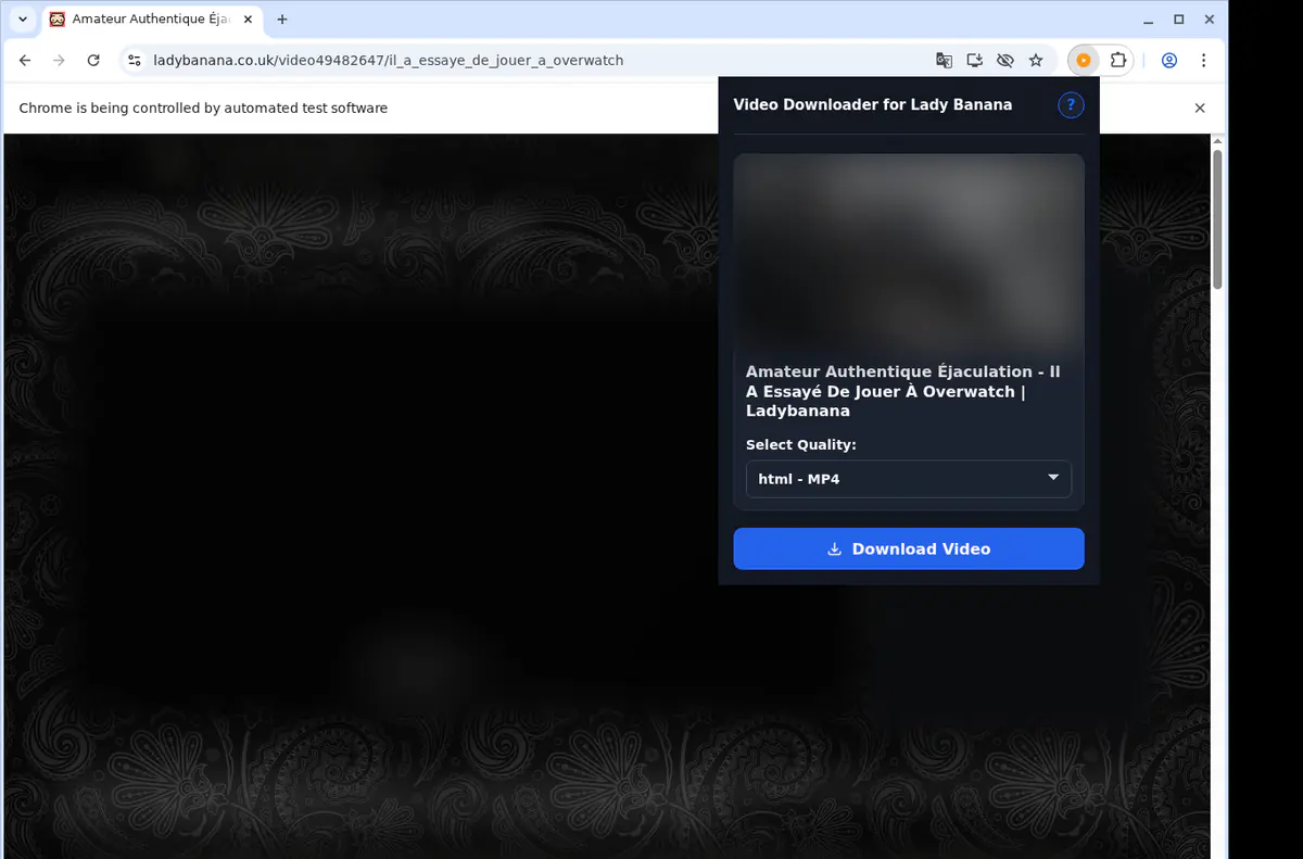 Ladybanana Video Downloader browser extension screenshot 3