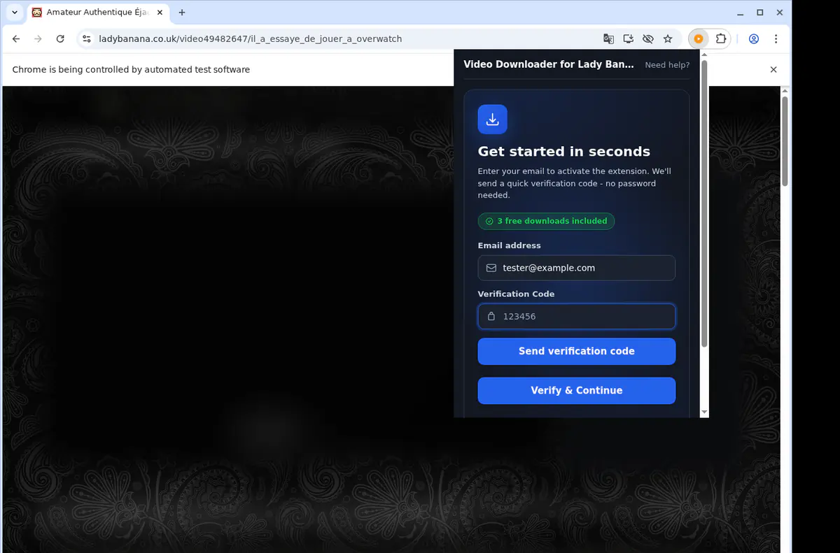 Ladybanana Video Downloader browser extension screenshot 4