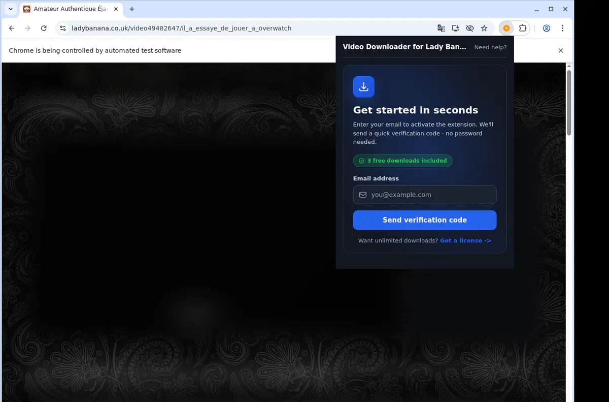 Ladybanana Video Downloader browser extension screenshot 5